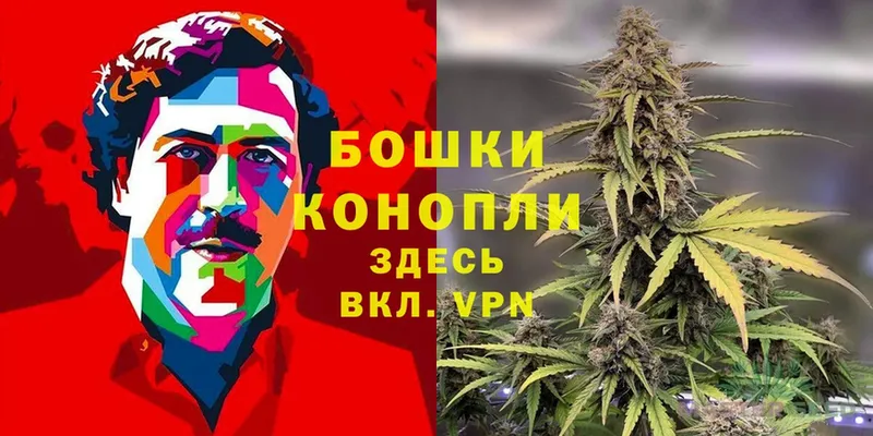 Бошки Шишки LSD WEED  наркотики  Игарка 